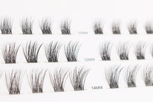 Load image into Gallery viewer, Bee Your own Lash Tech the entire collection